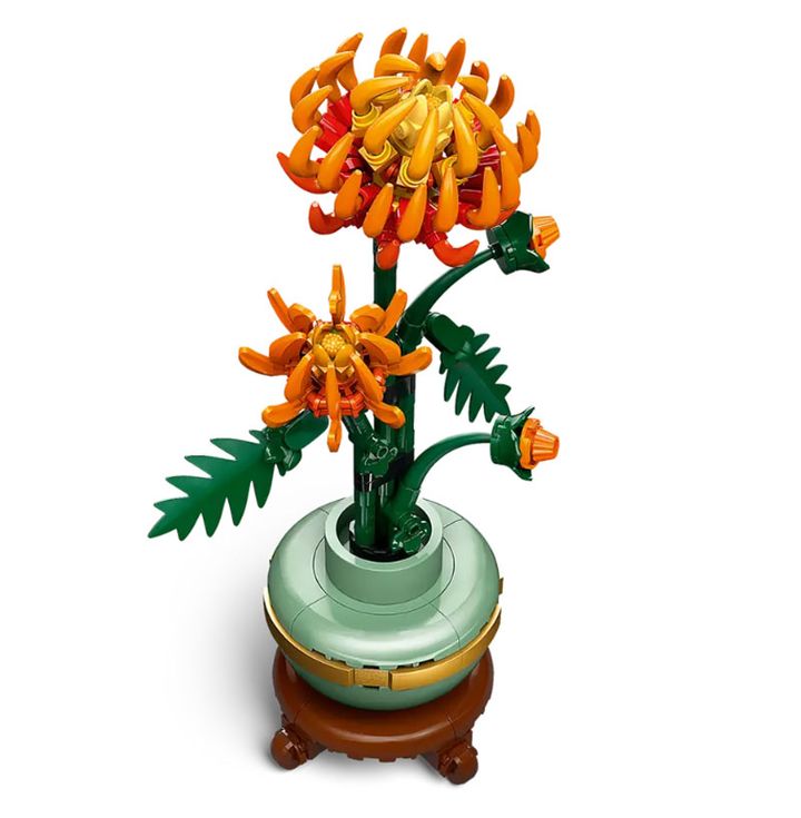 lego-sonic-chrysanthemum-asatsqobi-konstruqtori-photo-4