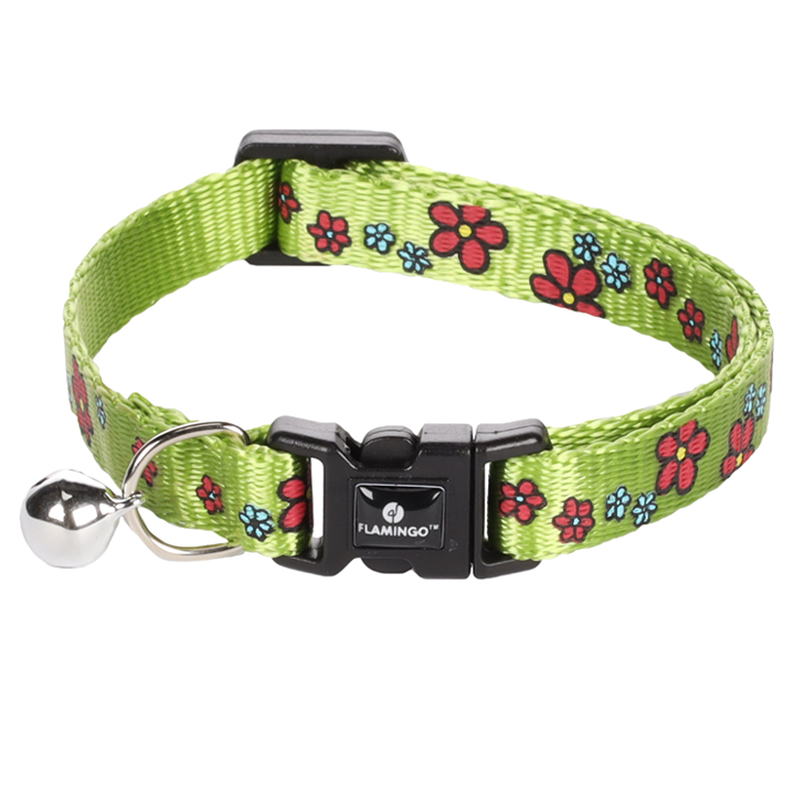 flamingo-katis-saqelo-photo-2