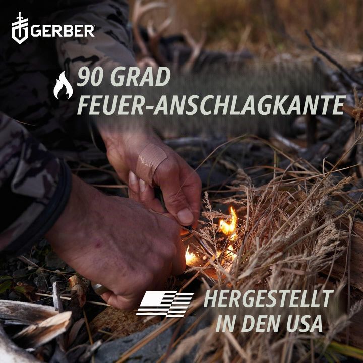 gerber-principle-dasaketsi-dana-photo-3