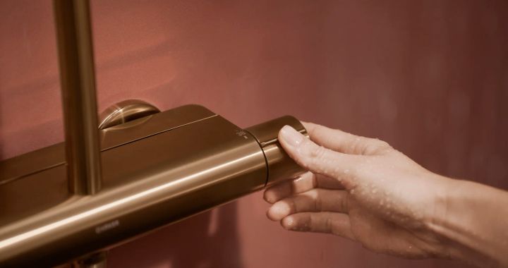 sashkhape-sistema-termostatit-hansa-viva-brushed-steel-autleti-photo-3