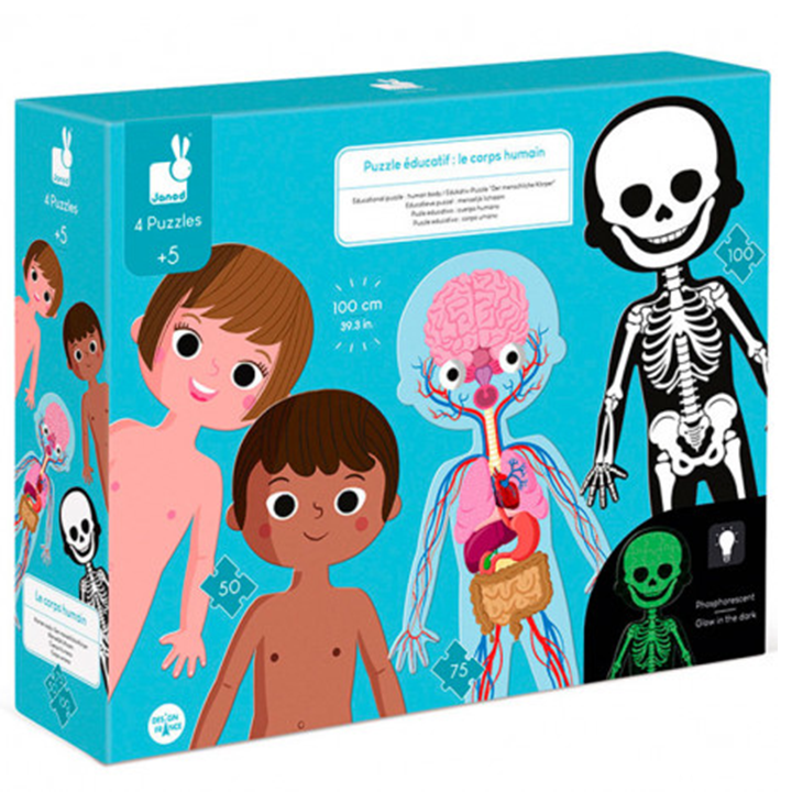 educational-puzzle-human-body-gansavitarebeli-satamasho-fazli