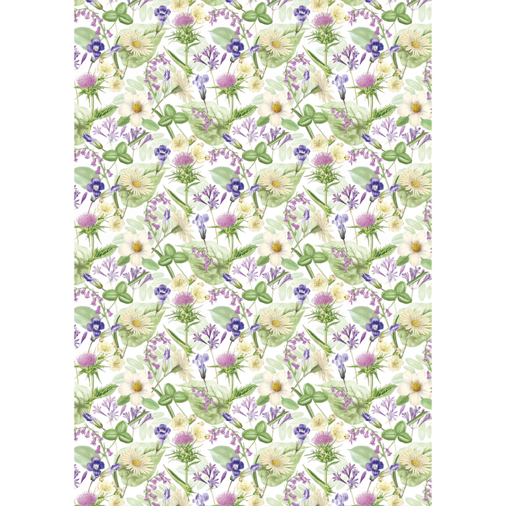 shesafuti-qaghaldi-mindvris-qvavilebit-2m70sm-1ts