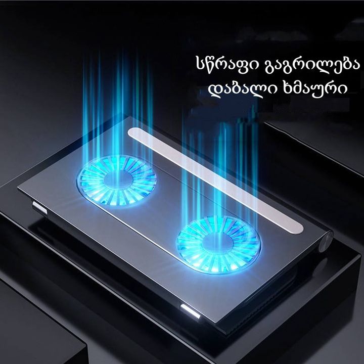 leptopis-sadgami-quleri-photo-3