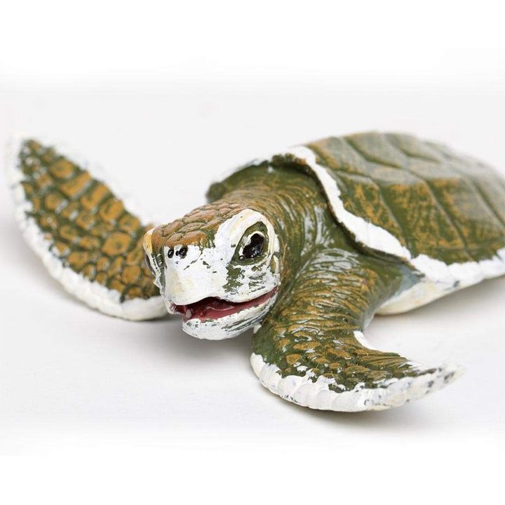 safari-kemps-ridley-sea-turtle-baby-satamasho-figura-photo-3