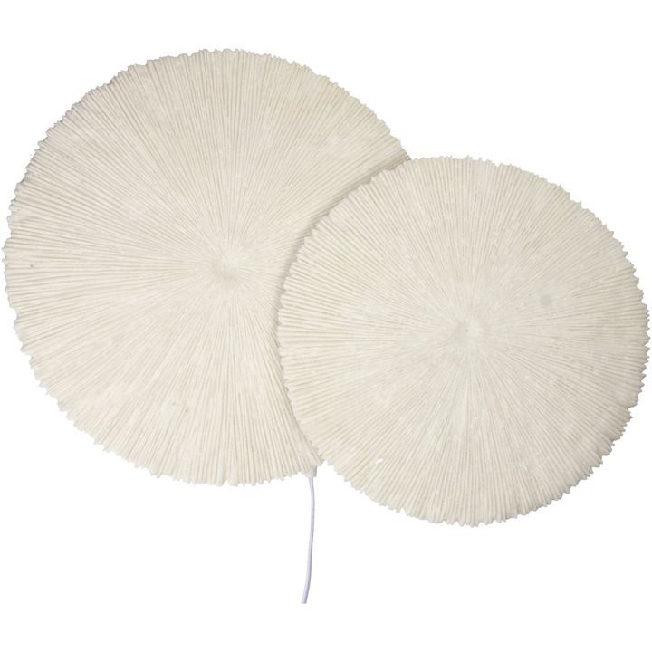 laboratory-my-home-kedlis-sanati