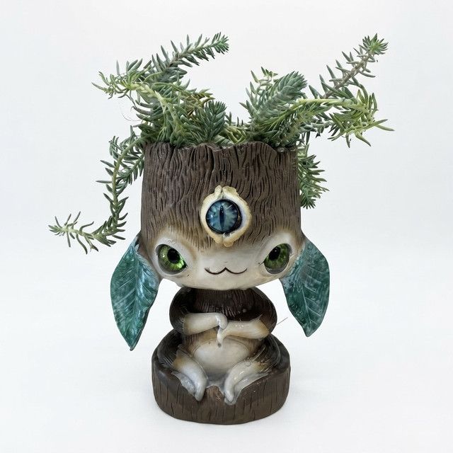 dear-plants-sedum-reflexum-mtsenare-dekoratiuli-qotnit