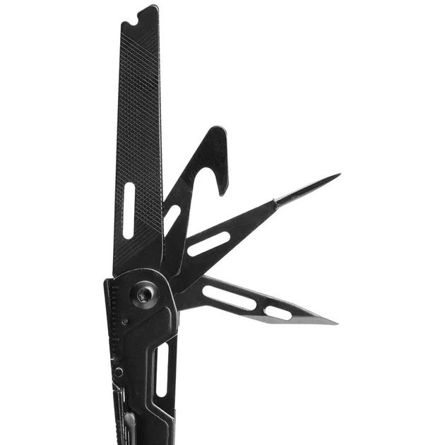 sog-powerpint-black-mravlfunqtsiuri-khelsatsqo-dana-photo-2