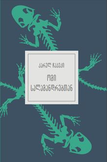 Product image of უკვდავი ბიბლიოთეკა - ომი სალამანდრებთან