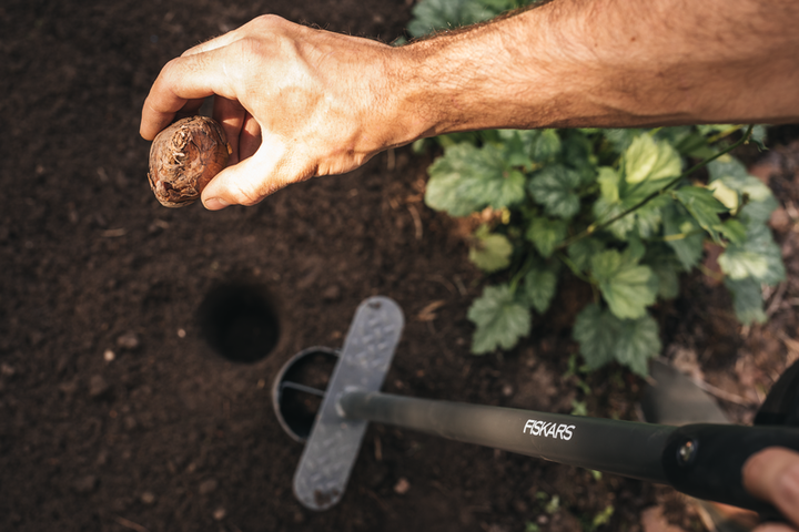 fiskars-1057078-ergo-standing-bulb-planter-bolqvis-dasargavi-photo-2