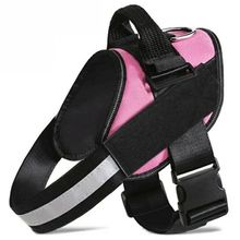 Product image of ძაღლის საბელი (S)