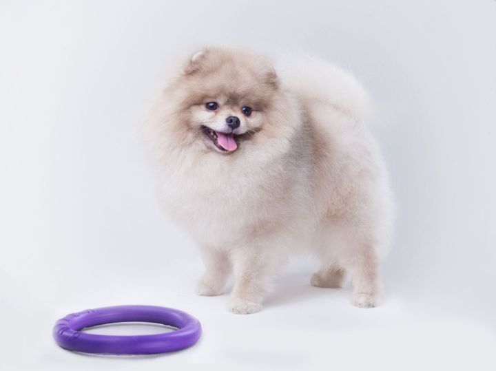 puller-mini-savarjisho-satamasho-dzaghlebistvis-125sm-photo-2