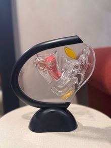 Product image of საშვილოსნოს ყელის ანატომია