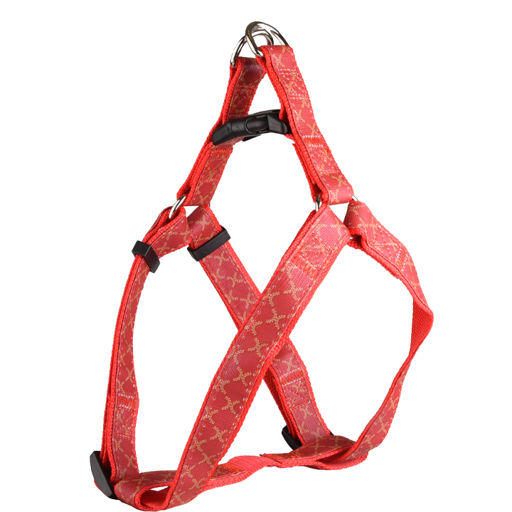 flamingo-dzaghlis-sabeli