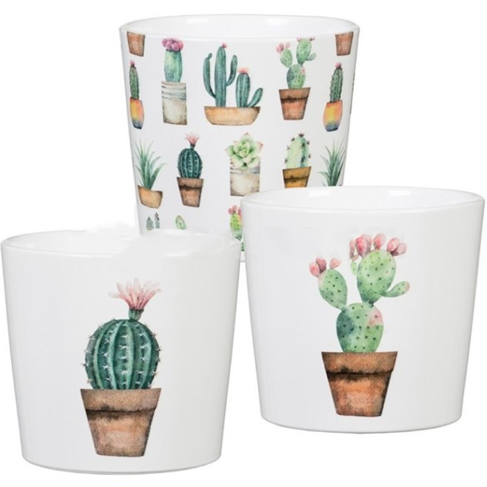 scheurich-87007-cover-pot-cactus-garden-keramikis-qotani-qvavilebistvis