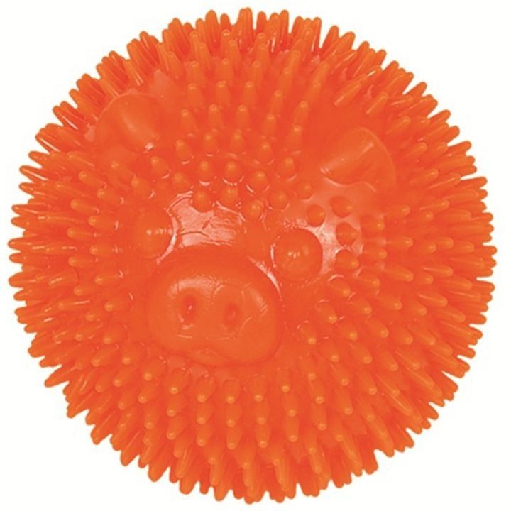 nobby-dzaghlis-satamasho