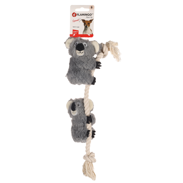 flagino-dt-hangta-koala-dzaghlis-satamasho-photo-3