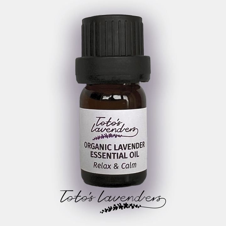 totos-lavenders-lavandis-eterzeti-photo-2