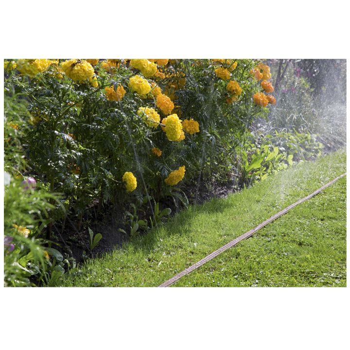 gardena-shlangi-sartsqavi-nislisebritsvetovani-photo-4