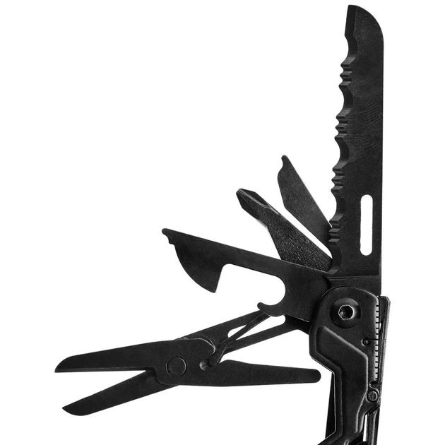 sog-powerpint-black-mravlfunqtsiuri-khelsatsqo-dana-photo-3