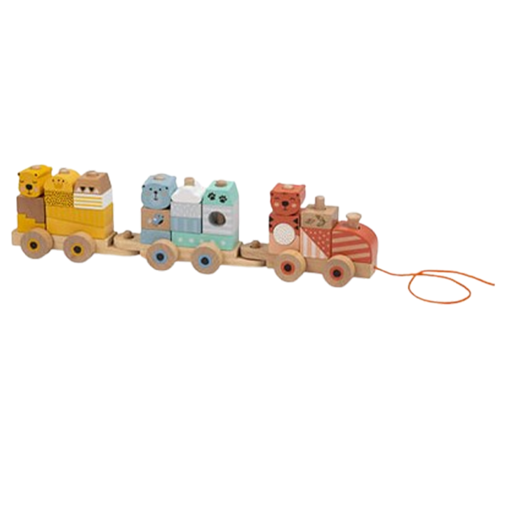 eurekakids-wooden-train-blocks-khis-satamasho