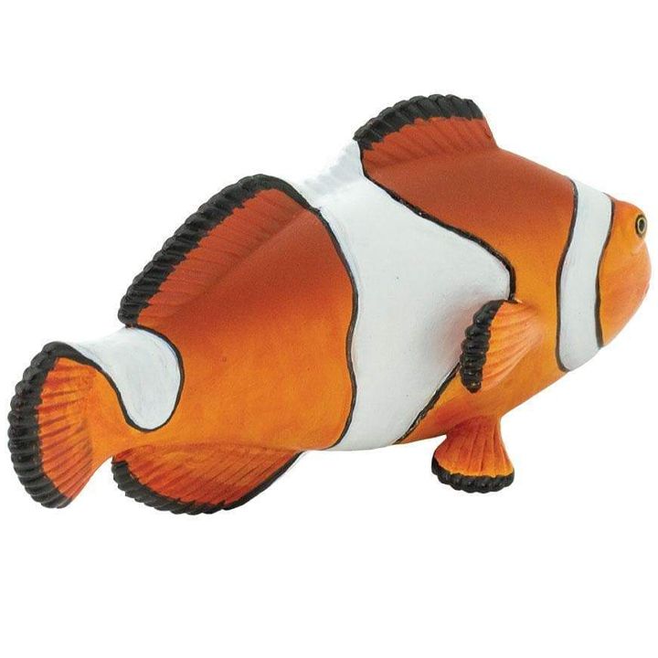 safari-clown-anemonefish-satamasho-figura-photo-3