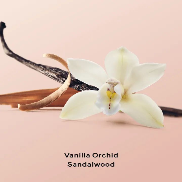 victorias-secret-vanilla-orchid-sandalwood-shimmer-128ml-tanis-zeti-photo-2