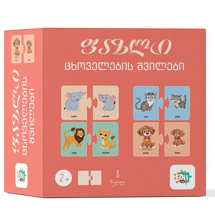 edutoys-fazli-tskhovelebis-shvilebi