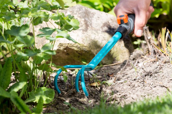 patara-samkbila-combisystem-hand-grubber-gardena-photo-4