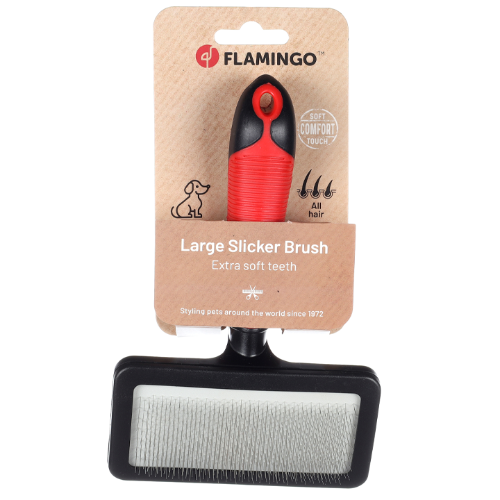 flagino-slickerbrush-soft-with-handle-m-dzaghlis-savartskheli-photo-2
