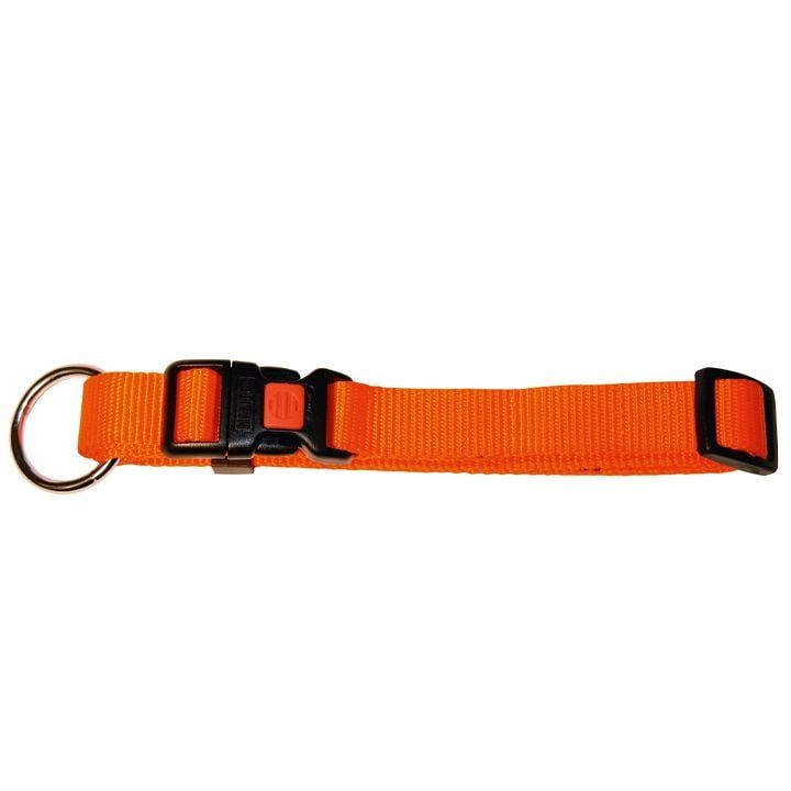 kerbl-dzaghlis-saqelo-photo-2