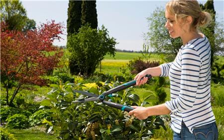 gardena-makrateli-buchqebistvis-hedge-clipper-easycut-hedge-clipper-easycut-photo-3