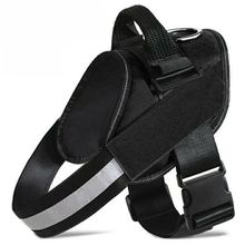 Product image of ძაღლის საბელი (S)