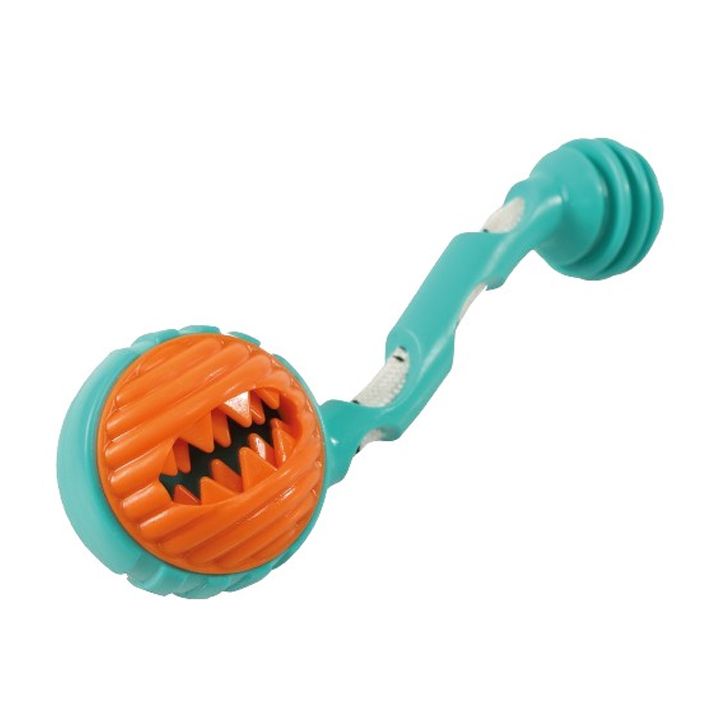 m-pets-dzaghlis-satamasho-photo-2