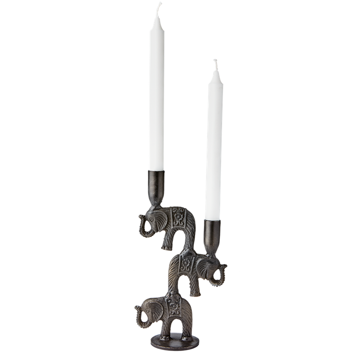 laboratory-my-home-sasantle-photo-2