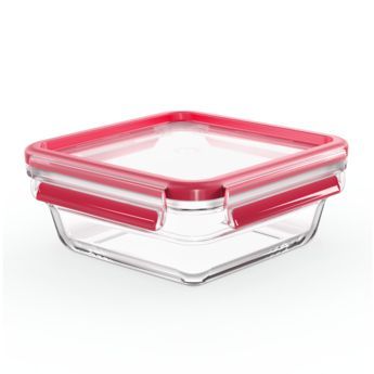 konteineri-sakvebis-minis-tefal-n1041410
