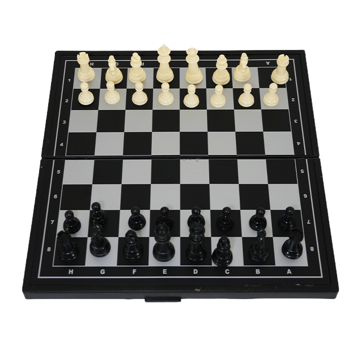 samagido-tamashi-magnituri-chadraki-photo-3