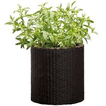 Product image of KETER CYLINDER PLANTERS 7 ლ პლასტმასის ქოთანი