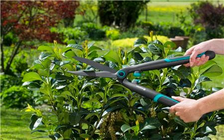 gardena-makrateli-buchqebistvis-hedge-clipper-easycut-hedge-clipper-easycut-photo-4