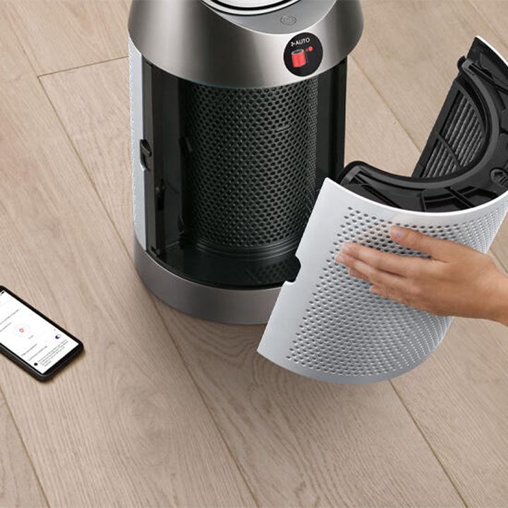 dyson-544901-01-tp11-haeris-gamtsmendi-photo-4