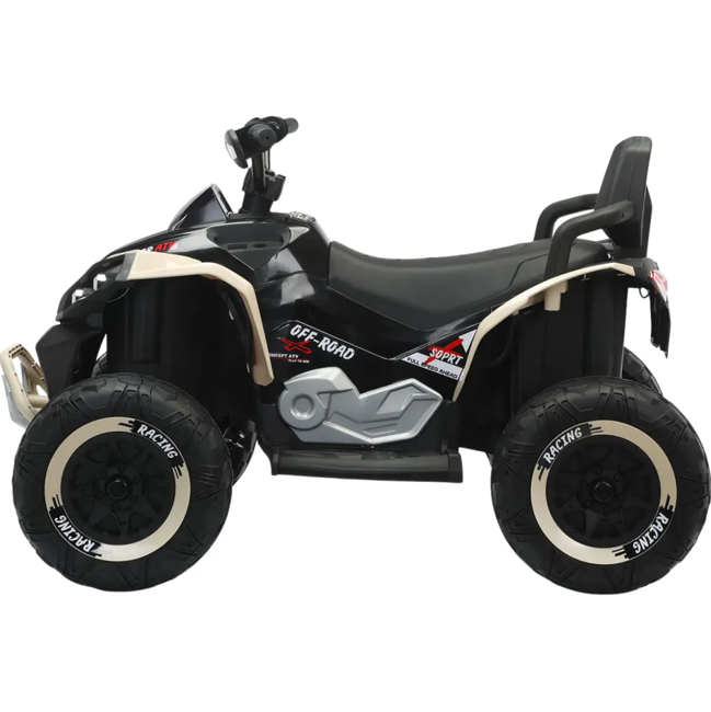 golden-child-off-road-bdq-1206-y-sabavshvo-eleqtro-kvadrotsikli-photo-2
