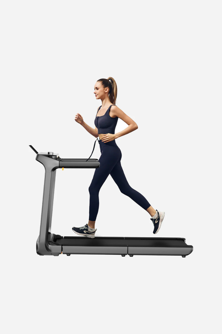 kingsmith-walking-pad-x218-photo-2