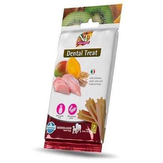 nd-dzaghlis-dental-chkhiri-photo-2