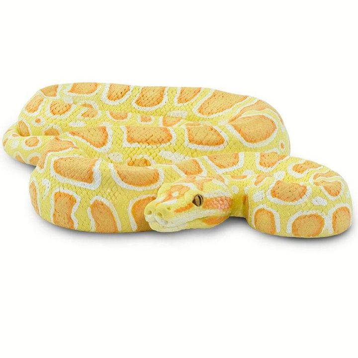 safari-albino-burmese-python-satamasho-figura-photo-4