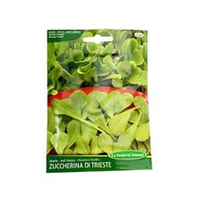 Product image of ვარდკაჭაჭას თესლი Chicory ZUCC.DI TRIESTE 4 121-MAXIOr