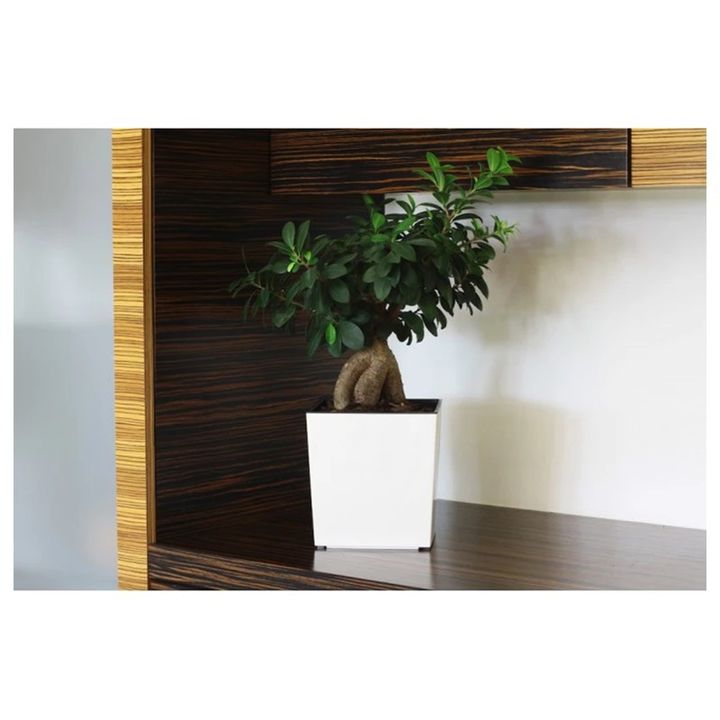 lamela-juka-la552-05-kvadratuli-25x25-sm-11-l-tetri-qvavilis-qotani-photo-2