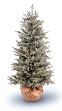 Product image of კდემა 150სმ + ქოთანი SNAPTREE - დიზაინერული ნაძვის ხე შაკო და ნინოსგან