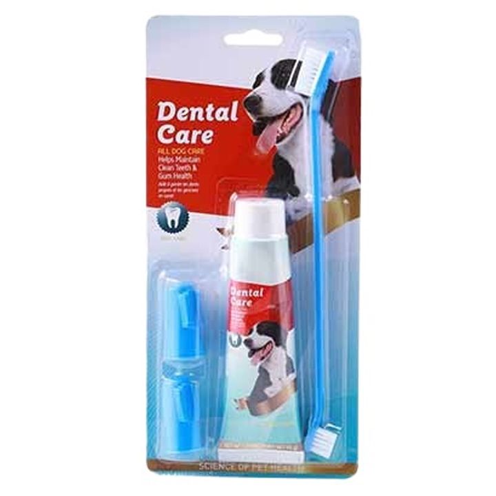 dzaghlis-kbilis-jagrisi-da-pasta