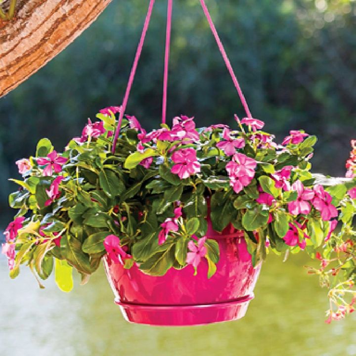 serinova-sm03-19071-mtsenaris-qotani-photo-2