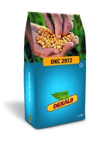 Product image of სიმინდის თესლი - დეკალბი DKC 2972 - FAO 200