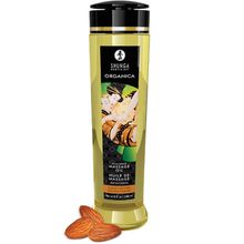 Product image of Shunga მასაჟის ზეთი ორგანიკა ნუშის სიტკბოება